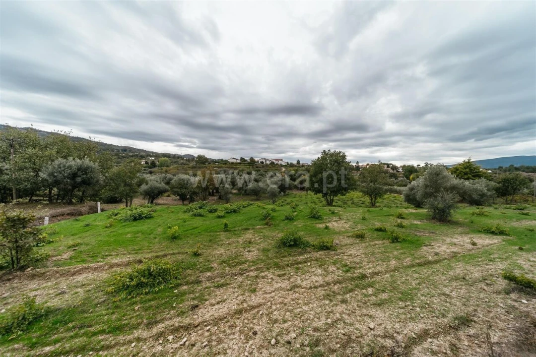 Terreno para Venda em Ferro Foto 14