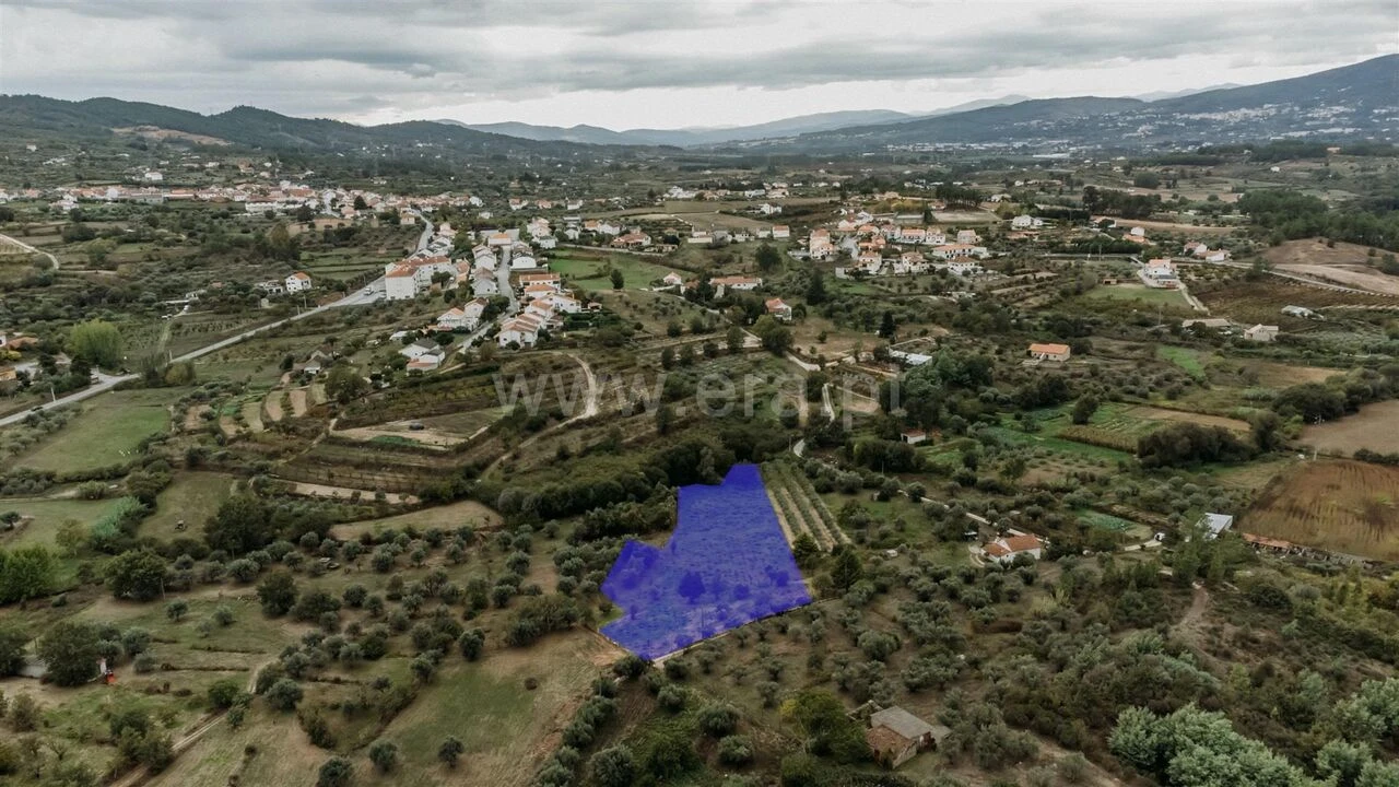 Terreno para Venda em Ferro Foto 16