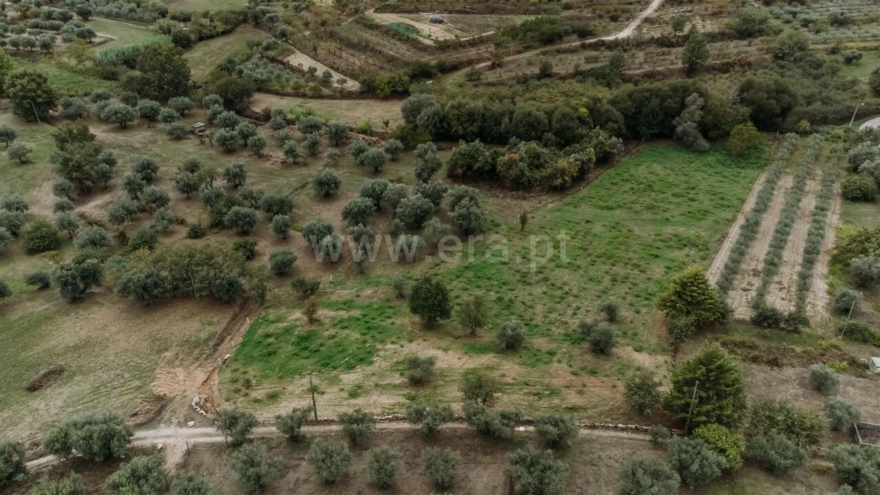 Terreno para Venda em Ferro Foto 2