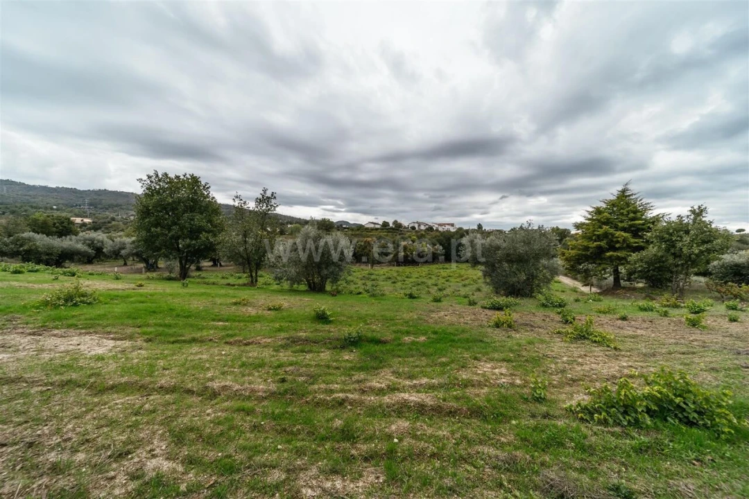 Terreno para Venda em Ferro Foto 11
