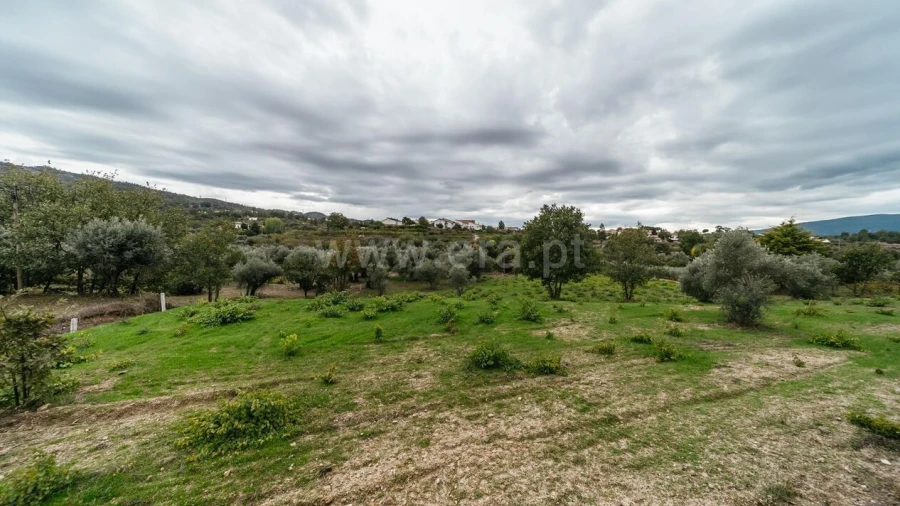 Terreno para Venda em Ferro