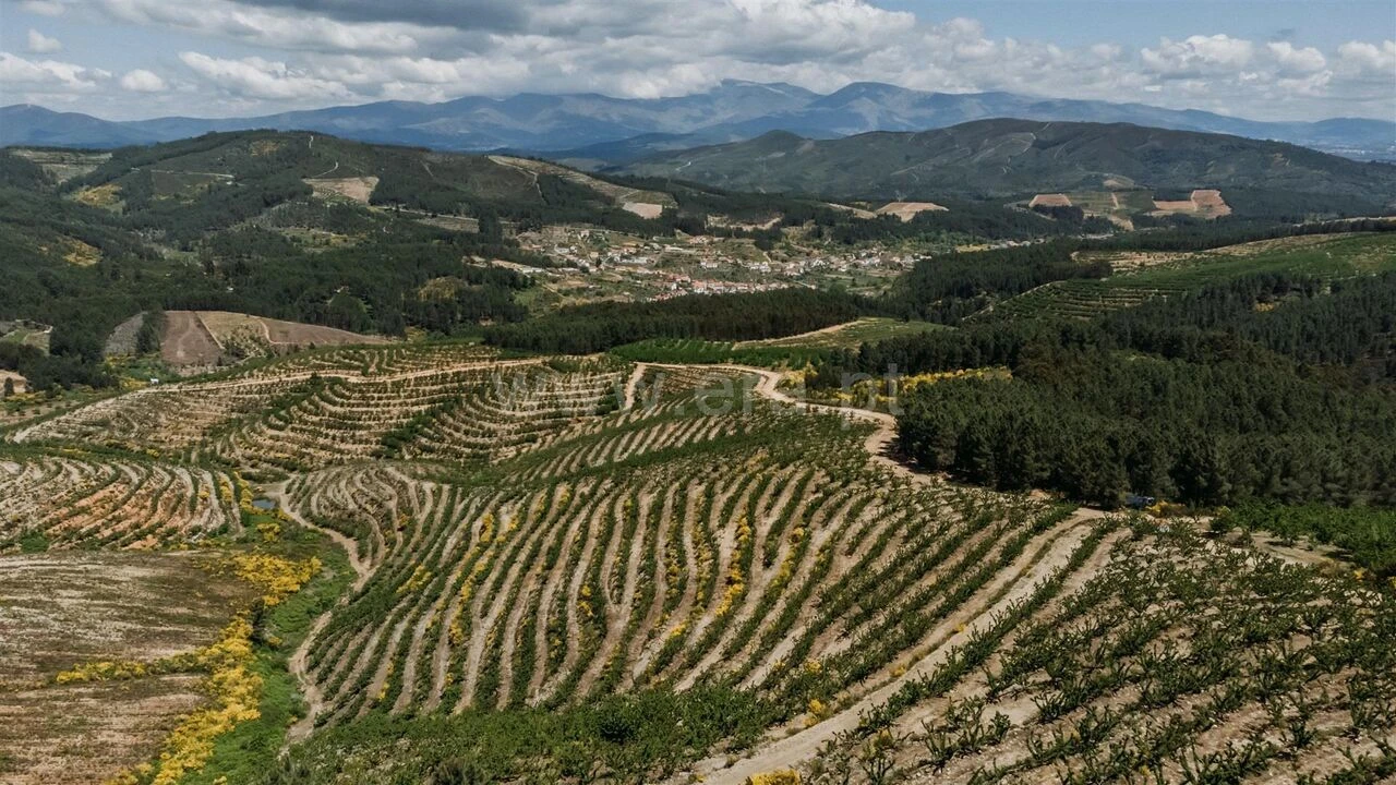 Quinta T0 para Venda em Castelejo Foto 12