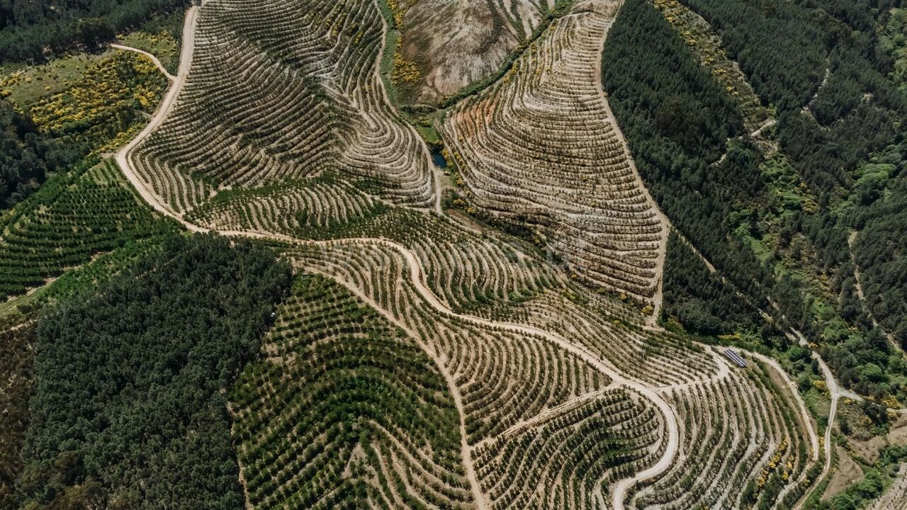 Quinta T0 para Venda em Castelejo Foto 11