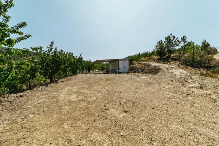 Quinta T0 para Venda em Castelejo Foto 2