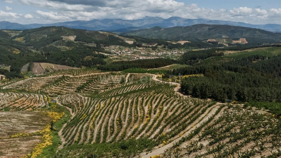 Quinta T0 para Venda em Castelejo Foto 12