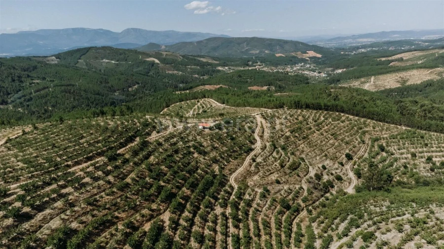 Quinta T0 para Venda em Castelejo Foto 7