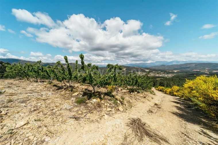 Quinta T0 para Venda em Castelejo Foto 15