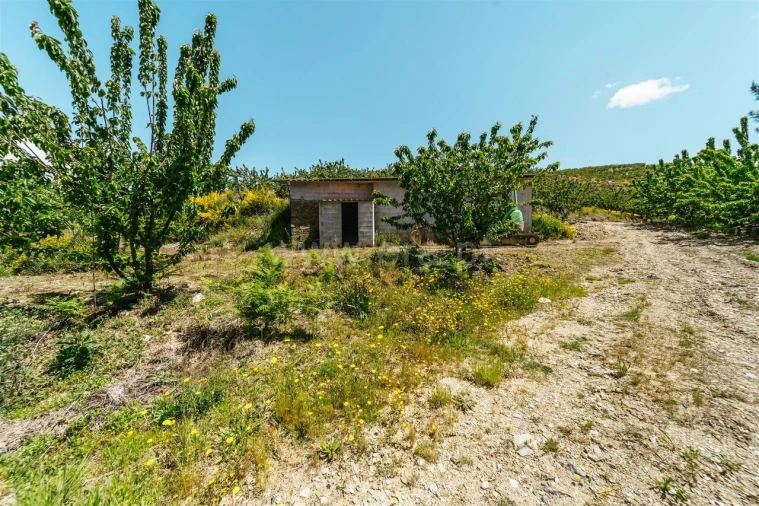 Quinta T0 para Venda em Castelejo Foto 17