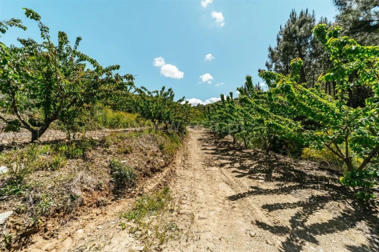 Quinta T0 para Venda em Castelejo Foto 18