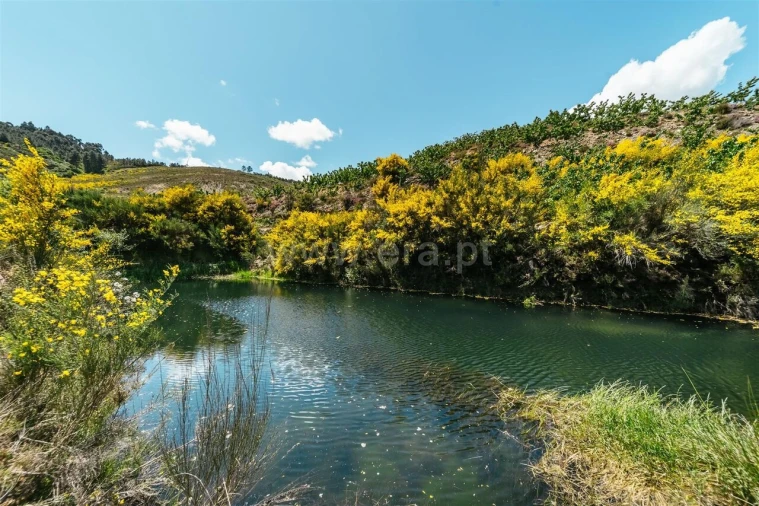 Quinta T0 para Venda em Castelejo Foto 1