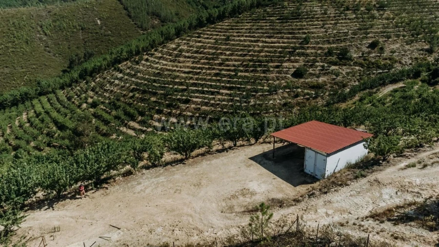 Quinta T0 para Venda em Castelejo Foto 8