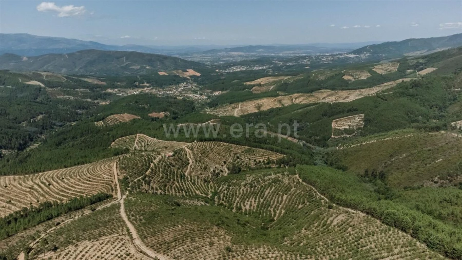 Quinta T0 para Venda em Castelejo Foto 6