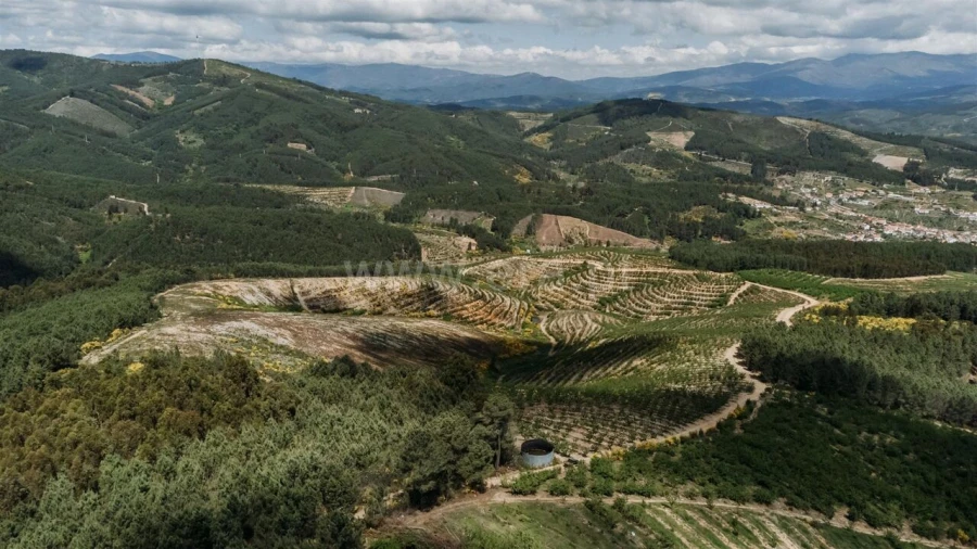 Quinta T0 para Venda em Castelejo Foto 9