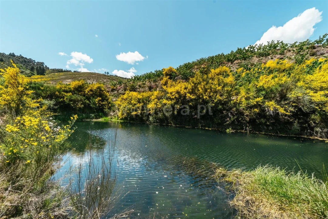 Quinta T0 para Venda em Castelejo Foto 1