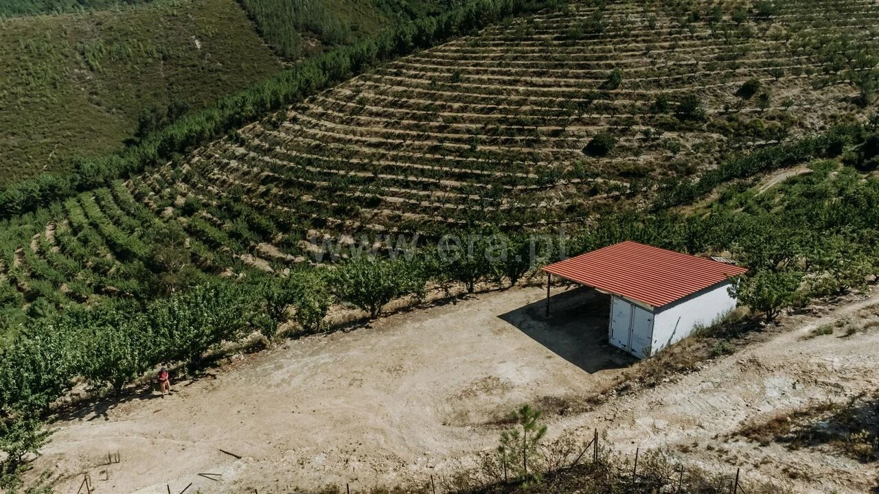 Quinta T0 para Venda em Castelejo Foto 8