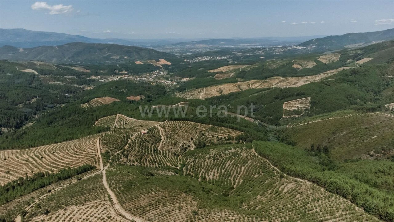 Quinta T0 para Venda em Castelejo Foto 6