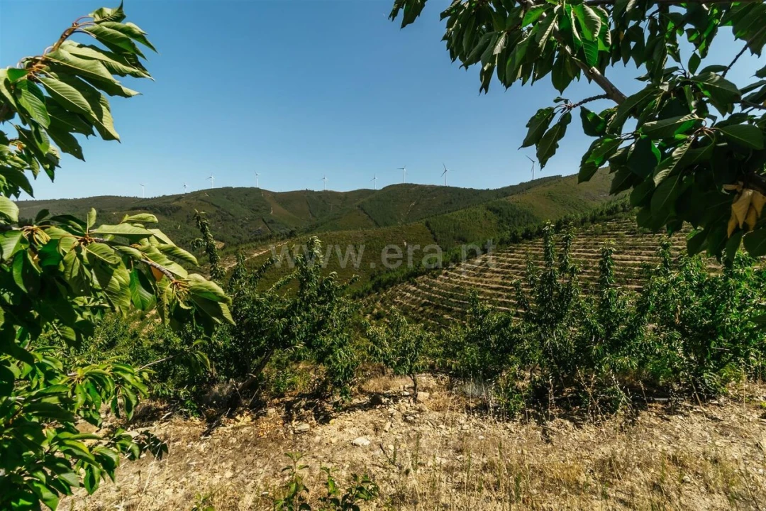 Quinta T0 para Venda em Castelejo Foto 5