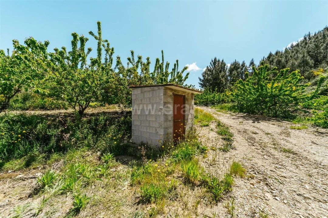 Quinta T0 para Venda em Castelejo Foto 16