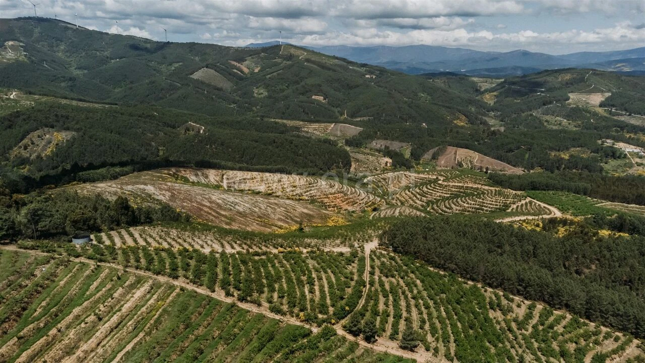 Quinta T0 para Venda em Castelejo Foto 10