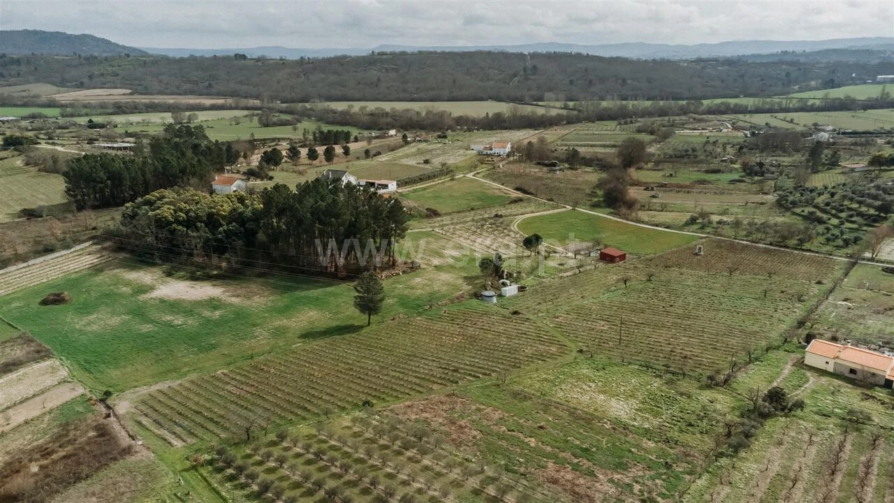 Terreno para Venda em Orjais Foto 2