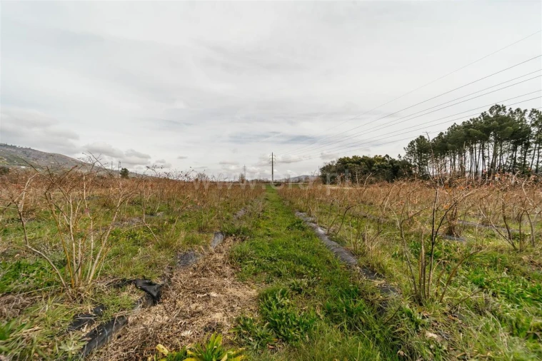 Terreno para Venda em Orjais Foto 4
