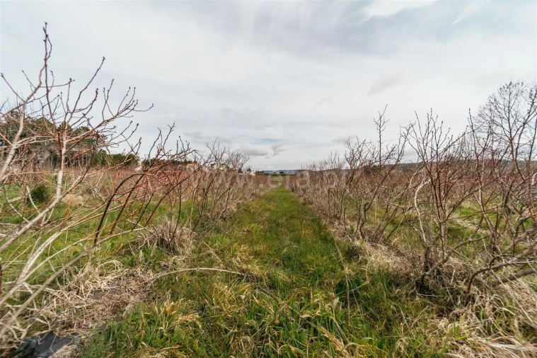 Terreno para Venda em Orjais Foto 13