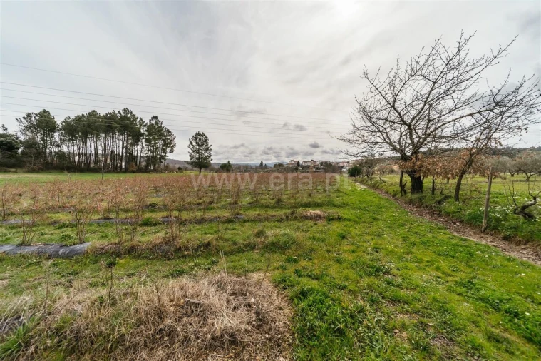 Terreno para Venda em Orjais Foto 3