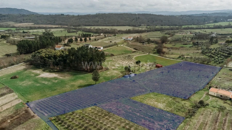 Terreno para Venda em Orjais Foto 1