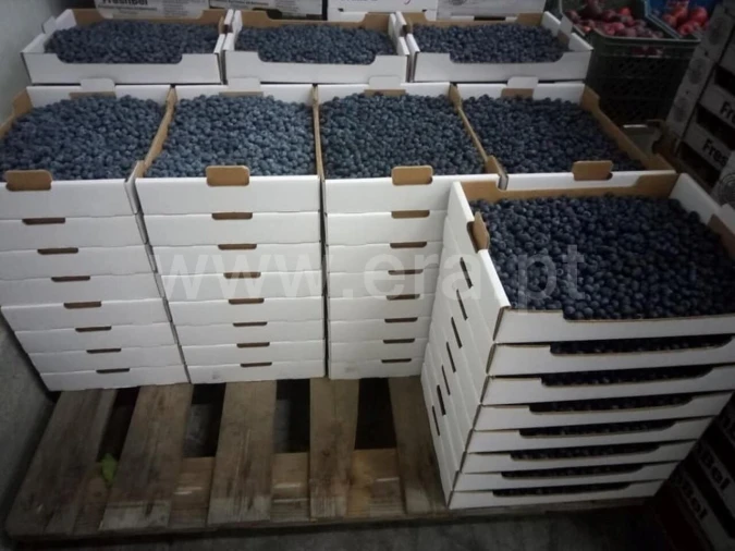 Terreno para Venda em Orjais Foto 17