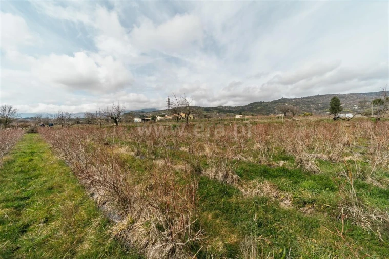 Terreno para Venda em Orjais Foto 15