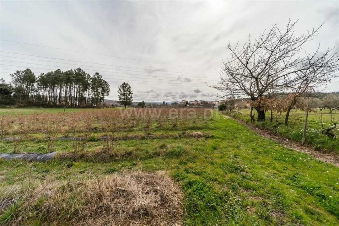 Terreno para Venda em Orjais Foto 3