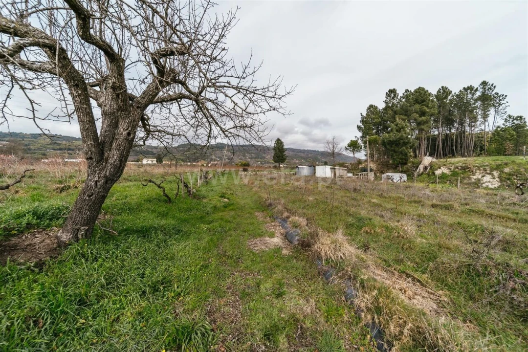 Terreno para Venda em Orjais Foto 10