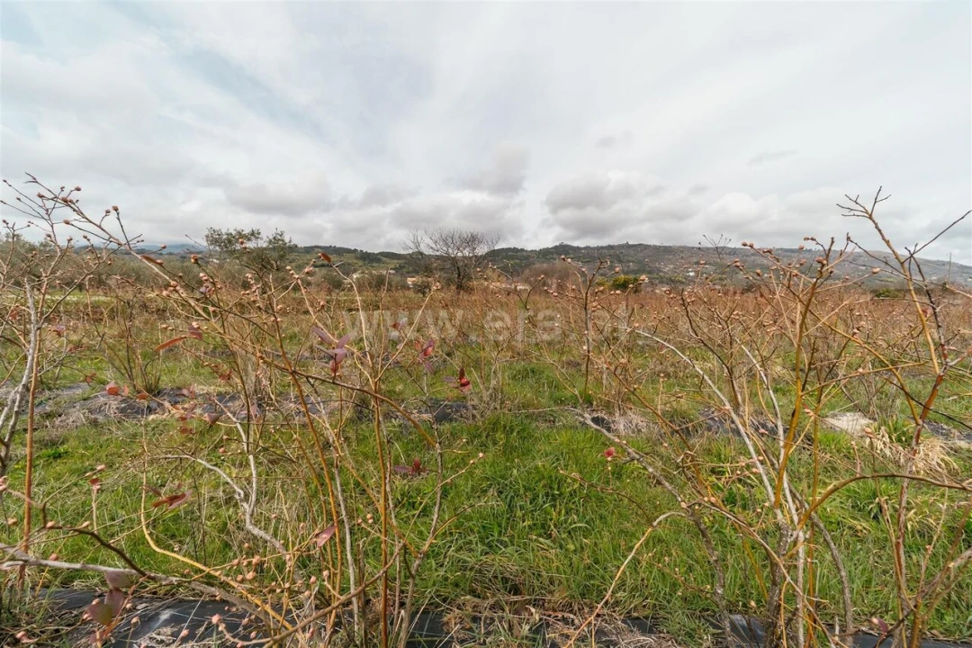 Terreno para Venda em Orjais Foto 5