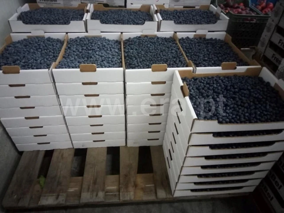 Terreno para Venda em Orjais Foto 17