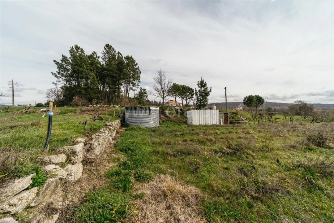Terreno para Venda em Orjais Foto 6