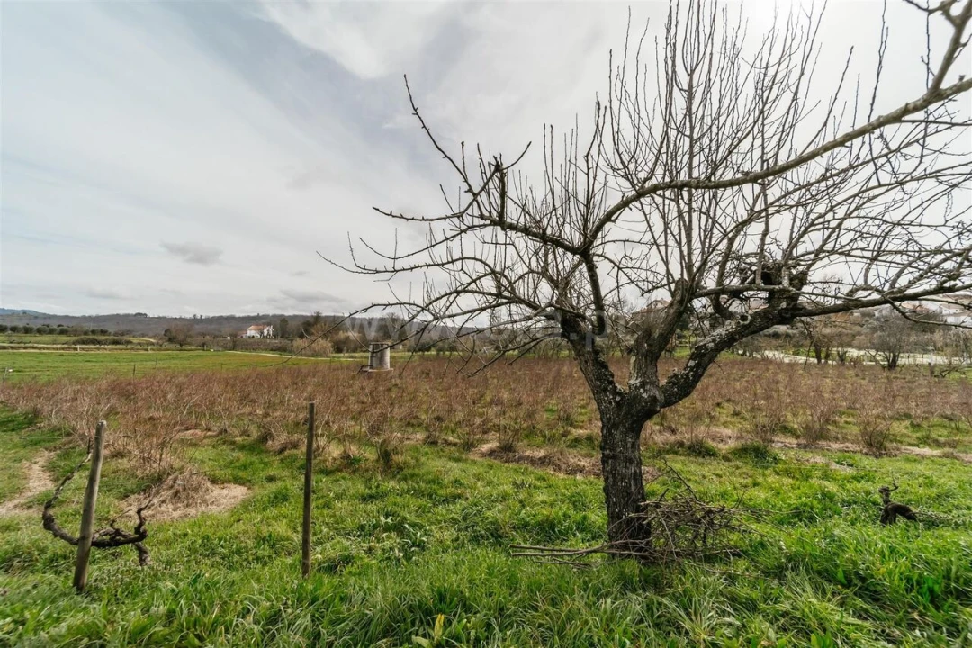 Terreno para Venda em Orjais Foto 11