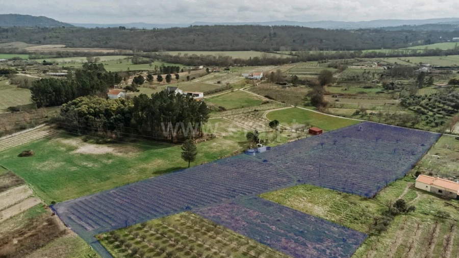 Terreno para Venda em Orjais
