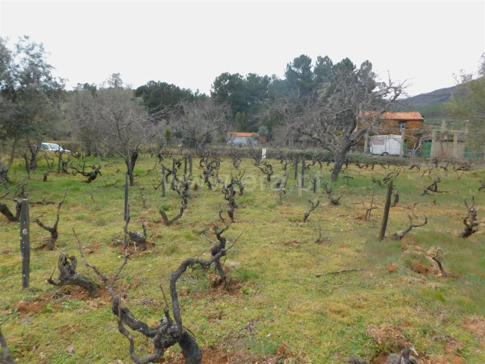 Quinta T0 para Venda em Verdelhos Foto 13