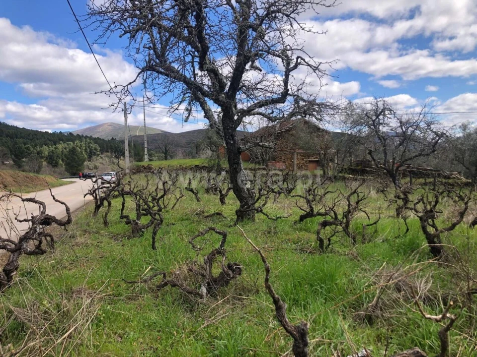 Quinta T0 para Venda em Verdelhos Foto 15