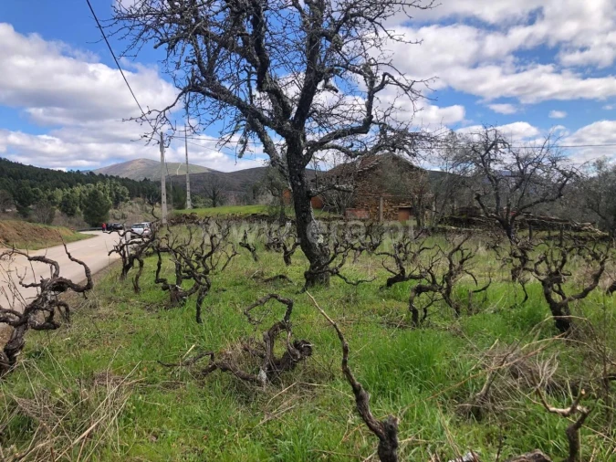 Quinta T0 para Venda em Verdelhos Foto 15