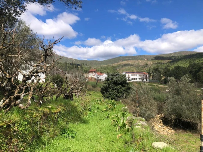 Quinta T0 para Venda em Verdelhos Foto 8