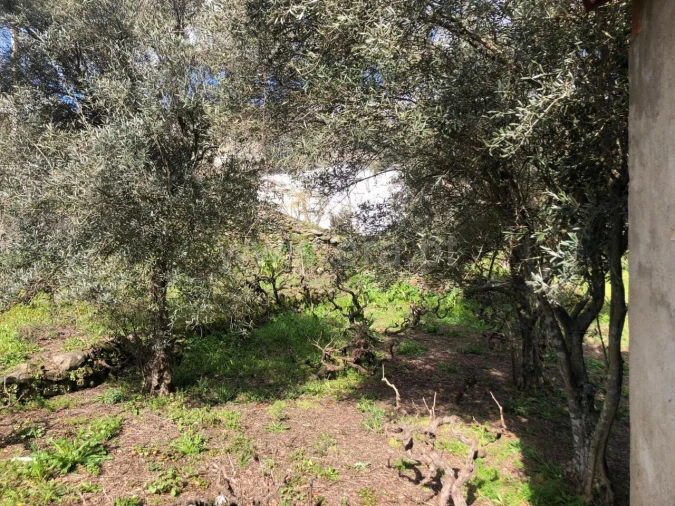 Quinta T0 para Venda em Verdelhos Foto 6