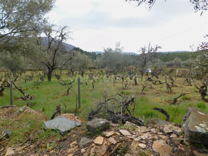 Quinta T0 para Venda em Verdelhos Foto 12