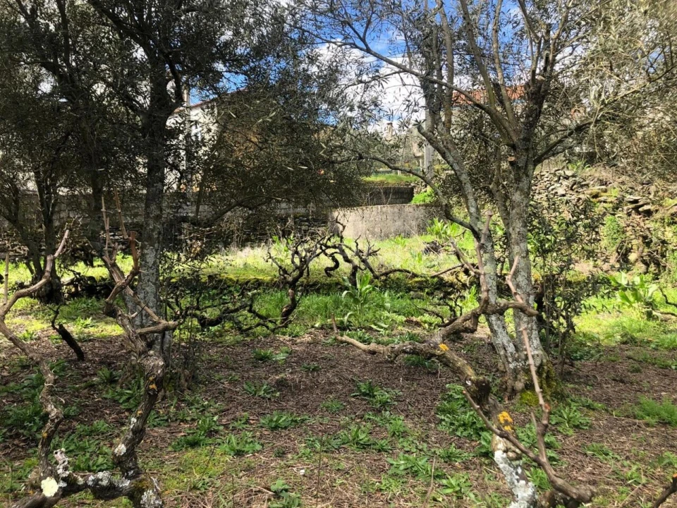 Quinta T0 para Venda em Verdelhos Foto 7