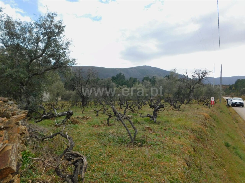 Quinta T0 para Venda em Verdelhos Foto 11