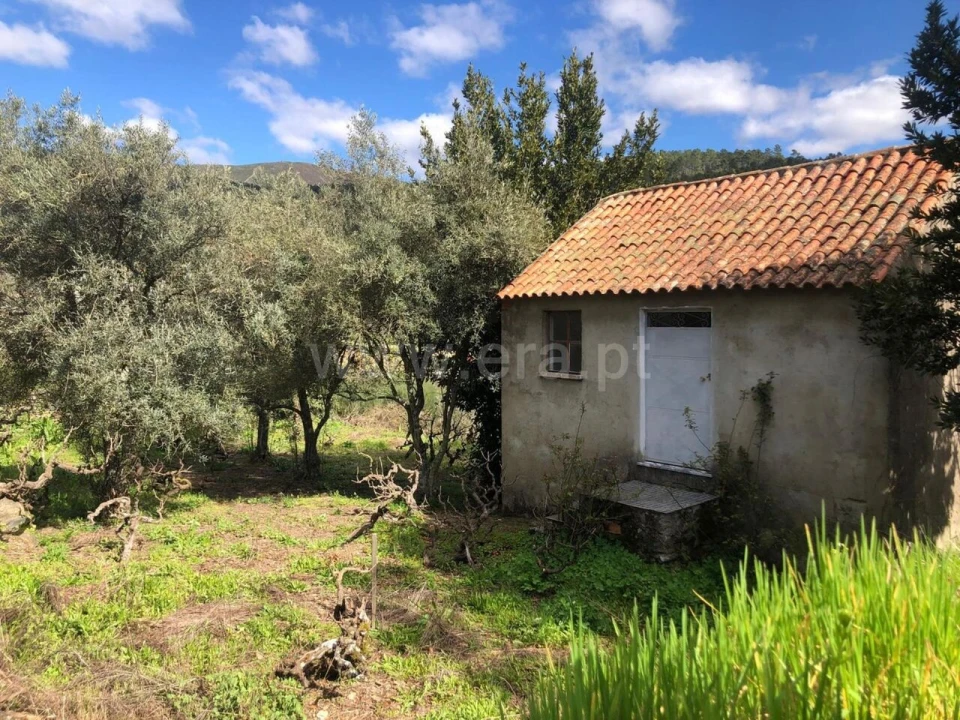 Quinta T0 para Venda em Verdelhos Foto 1