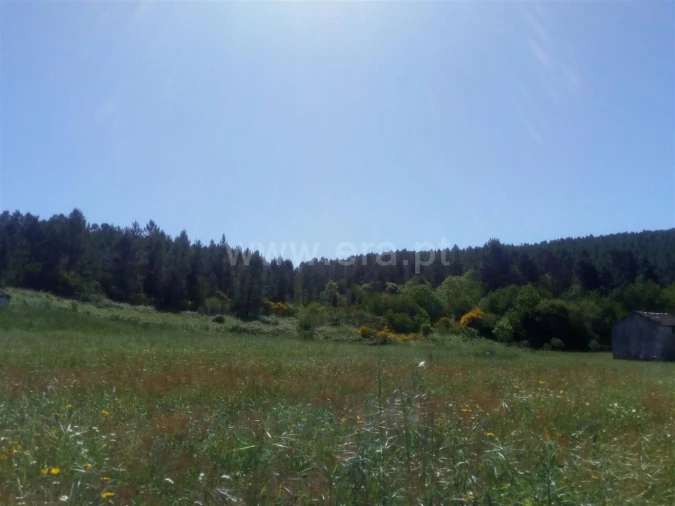 Terreno para Venda em Cortes do Meio Foto 2