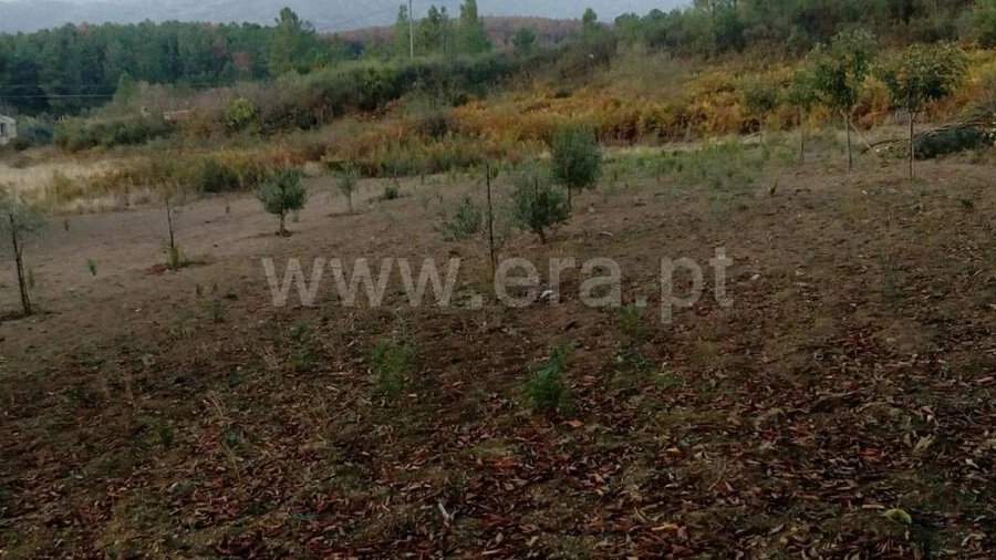 Terreno para Venda em Cortes do Meio