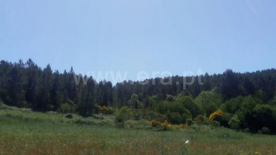 Terreno para Venda em Cortes do Meio