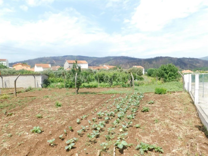 Terreno para Venda em Paul Foto 3